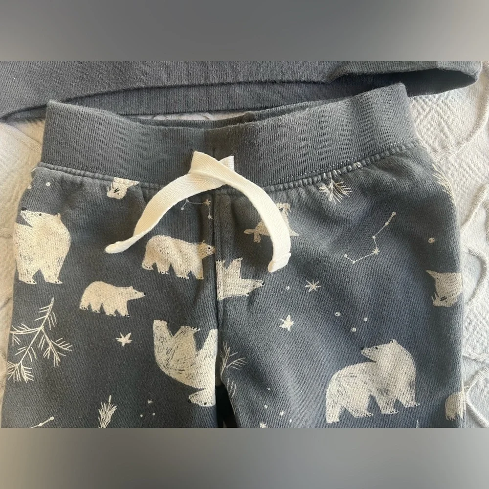 Carter’s Gray 2 Piece Pajama‎ Set W/polar Bears 12 Months (0509)